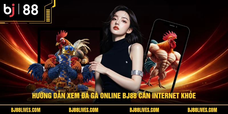 Hướng dẫn xem đá gà online BJ88 cần internet khỏe