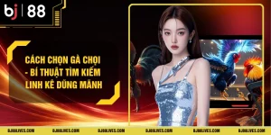 Cách Chọn Gà Chọi - Bí Thuật Tìm Kiếm Linh Kê Dũng Mãnh