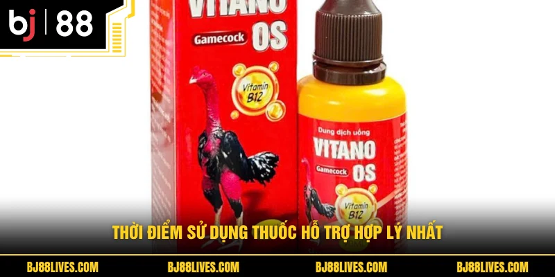 Thời điểm sử dụng thuốc hỗ trợ hợp lý nhất